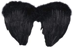 Black,wing,fur,costume Accessory,ear - Black Angel Costume Kids, HD Png Download PNG with transparent background