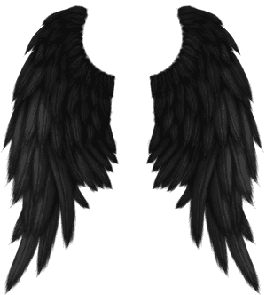 Disfraz De Angel Negro Mujer, HD Png Download PNG with transparent background
