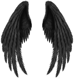 Black Wings Png Image - Picsart Wing, Transparent Png PNG with transparent background