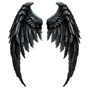 Black Angel Wings PNG xev PNG with transparent background