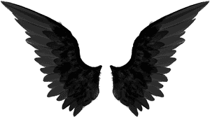 Png Images Gallery - Black Angel Wings Png, Transparent Png PNG with transparent background