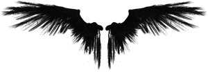 Angel, HD Png Download PNG with transparent background
