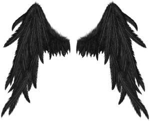 #dark #angel #wings #freetoedit - Transparent Black Angel Wings, HD Png Download PNG with transparent background