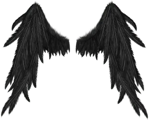 Black Angel Wings Spread PNG Image