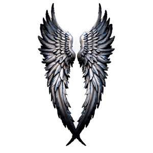 Black Archangel Wings PNG csw PNG