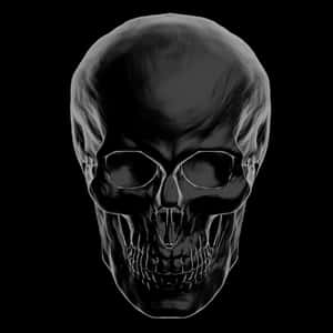 Black Background Human Skull PNG image with transparent background