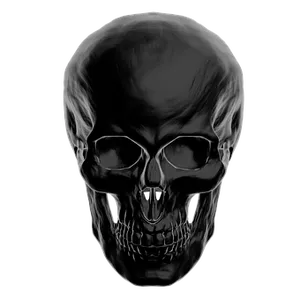 Black Background Human Skull PNG Image