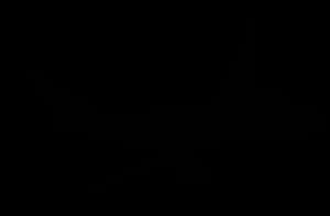 Black Background Texture PNG image with transparent background