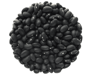 Transparent Bean Png - Black Beans Transparent Background, Png Download PNG image with transparent background
