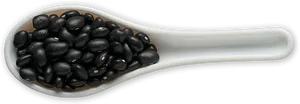 Black Beansin White Spoon PNG Image