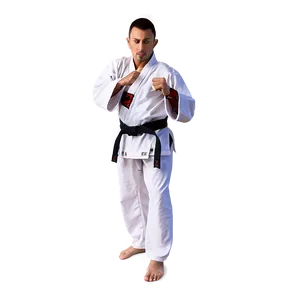 Black Belt In Action Png 76 PNG Image