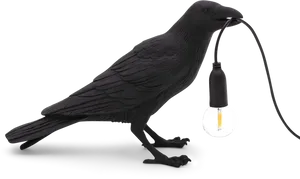 Black Bird Holding Light Bulb PNG Image