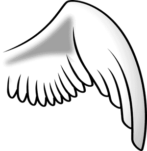 Wing, Angel, Right, Chicken - Right Angel Wing Png, Transparent Png PNG with transparent background