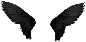 Black Bird Wings Spread PNG Image