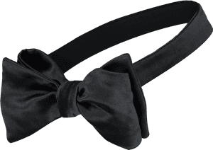 Png Bow Tie - Bow Tie From Side, Transparent Png PNG