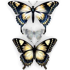 Black Butterfly Decoration Png Dfi39 PNG Image