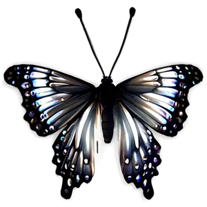 Black Butterfly Decoration Png Qoo95 PNG Image