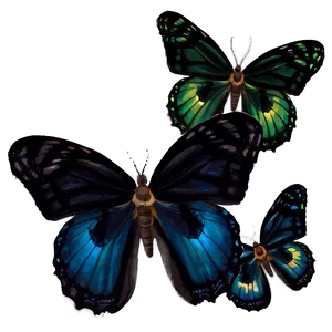 Black Butterfly Dream Png Aon28 PNG Image