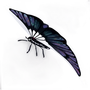 Black Butterfly On White Png 45 PNG Image