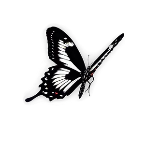 Black Butterfly Profile Png Lyx PNG Image