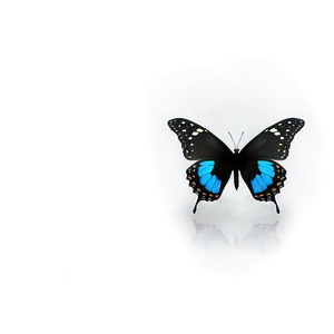 Black Butterfly Profile Png Tah PNG Image