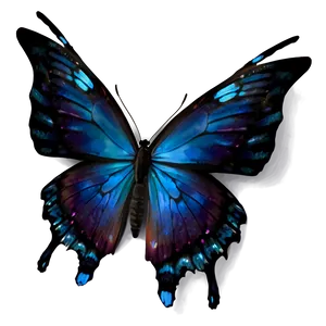 Black Butterfly With Blue Highlights Png Guf77 PNG Image