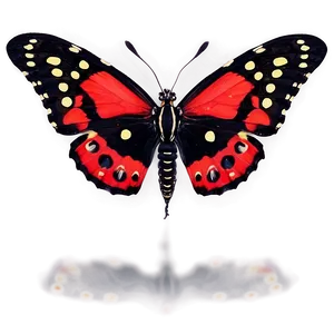 Black Butterfly With Red Spots Png 06252024 PNG Image