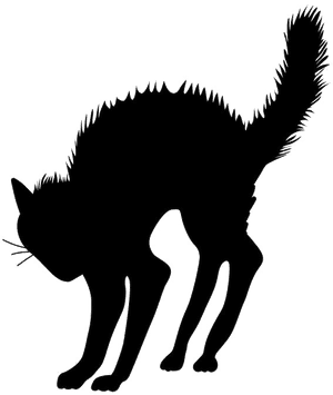 Halloween Black Cat Transparent Image - Halloween Black Cat Png, Png Download PNG image with transparent background
