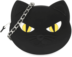 Black Cat, HD Png Download PNG