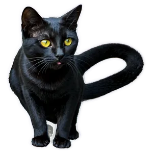 Black Cat Png Nvo99 PNG Image