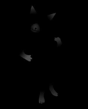 Black Cat Silhouette Dark Background PNG image with transparent background