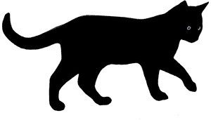 Black Cat Clipart Png, Transparent Png PNG