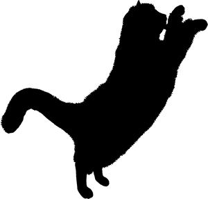Download Free High Quality Black Cat Png Transparent - Black Cat Png Hd, Png Download PNG