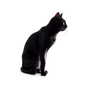 Black Cat Silhouette Png 06122024 PNG Image