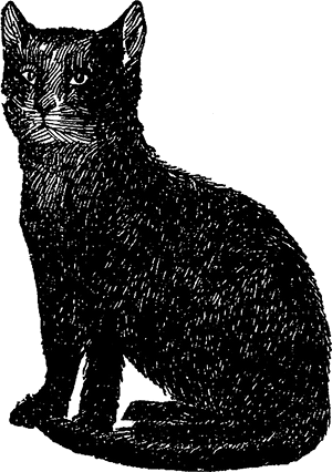 Cat Black Image Illustration - Vintage Black Cat Illustration, HD Png Download PNG