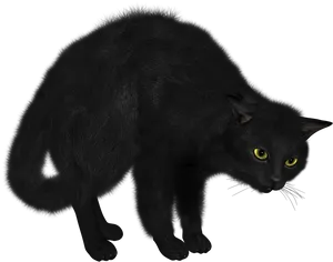 Black Cat Yellow Eyes PNG Image