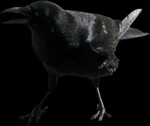 Angry Crow Png - Crow Face Transparent, Png Download PNG image with transparent background