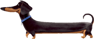 Secret Life Of Pets Characters Buddy , Png Download - Buddy The Secret Life Of Pets Characters, Transparent Png PNG image with transparent background