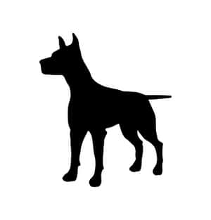 Black Dog Silhouette PNG image with transparent background