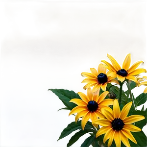 Black Eyed Susan Bouquet Png Hmn36 PNG Image