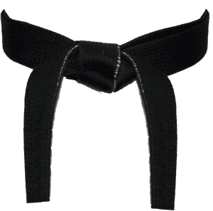 Black Belt � Don Johnson Don Kim Johnson's Chesterton - Black Belt Karate Png, Transparent Png PNG image with transparent background