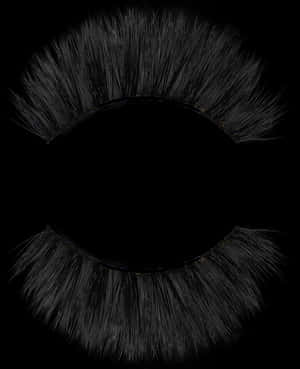 La La Lashes - Eyelash Extensions, HD Png Download PNG image with transparent background