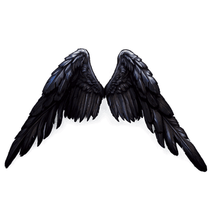 Black Feather Angel Wings PNG xcn1 PNG image with transparent background
