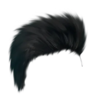 Black Feather Illustration PNG Image