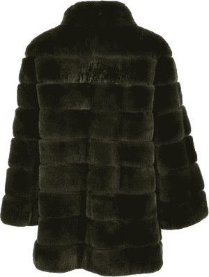 Fur Coat Png Image Free Download - Fur Coat Png Back, Transparent Png PNG image with transparent background