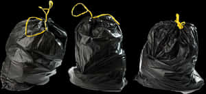 Trash Bags Royalty Free, HD Png Download PNG image with transparent background