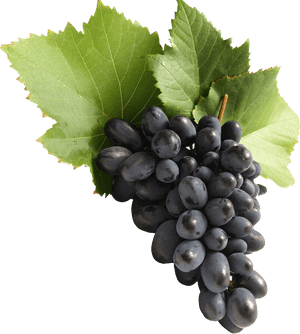 Grapes Png, Transparent Png PNG image with transparent background