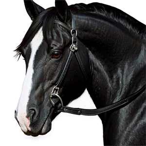 Black Horse Digital Artwork Png Tob PNG Image