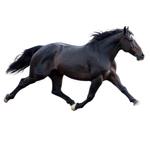 Black Horse In Motion Png Oyv PNG Image