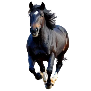 Black Horse In Motion Png Txo PNG Image